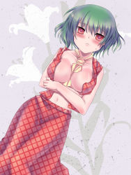 Rule 34 | 1girl, asaca-yamashimo, ascot, bad id, bad pixiv id, between breasts, blush, breasts, cleavage, clothes between breasts, crossed arms, female focus, green hair, kazami yuuka, large breasts, navel, no bra, open clothes, open shirt, open vest, plaid, plaid skirt, plaid vest, red eyes, shirt, short hair, skirt, skirt set, solo, touhou, vest