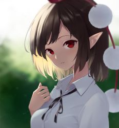 Rule 34 | 1girl, blurry, blurry background, brown hair, buttons, collared shirt, eyebrows, hat, highres, kanpa (campagne 9), looking at viewer, parted lips, partially unbuttoned, pointy ears, red eyes, shameimaru aya, shirt, short hair, sidelocks, tokin hat, touhou, upper body