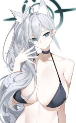Rule 34 | absurdres, animal ears, breasts, casul, highres, long hair, shiroko (blue archive), shiroko terror (blue archive), swimsuit, white hair, wolf ears