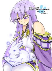 Rule 34 | 1girl, animal, animal on lap, bare shoulders, book, breasts, cape, circlet, dress, fire emblem, fire emblem: genealogy of the holy war, jewelry, julia (fire emblem), long hair, looking down, medium breasts, nintendo, on lap, purple eyes, purple hair, rabbit, sitting, smile, snow rabbit, solo, wide sleeves, yukia (firstaid0)