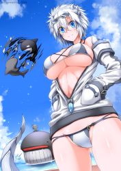 Rule 34 | 1girl, 1other, bikini, blue eyes, blue sky, breasts, cloud, commentary request, cowboy shot, day, dragon girl, dragon horns, dragon tail, eyewear on head, g (genesis1556), grey bikini, groin, hair between eyes, hands in pockets, highres, horns, large breasts, long sleeves, looking at viewer, orca, original, scar, scar on face, scar on nose, short hair, sky, smile, standing, sunglasses, swimsuit, tail, thighs, tsubasa ryuuji, whale, white hair