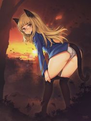 Rule 34 | 1girl, :o, animal ears, ass, black tail, blonde hair, blush, brown eyes, cat ears, cat tail, clothes pull, falling leaves, glasses, glasses day, highres, hirosegawa narumi, leaf, long hair, looking at viewer, no pants, panties, pantyhose, pantyhose pull, perrine h. clostermann, solo, strike witches, tail, thighs, underwear, white panties, world witches series