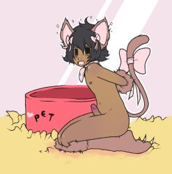 Rule 34 | androgynous, animal ears, animal hands, black eyes, black hair, blush, erection, furry, furry male, gender request, hair ribbon, male focus, mopinks, nude, open mouth, penis, ribbon, tail, uncensored