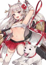 Rule 34 | 1girl, :d, animal ears, armpits, azur lane, bandages, bandages around chest, blush, breasts, cape, clothing cutout, collar, dog, dog ears, dog tail, fingerless gloves, flower, gloves, hair flower, hair ornament, highres, long hair, medium breasts, nail polish, navel, open mouth, panties, pleated skirt, racchi., red eyes, sarashi, side-tie panties, side cutout, silver hair, simple background, skirt, smile, standing, standing on one leg, tail, tattoo, thighhighs, underwear, v-shaped eyebrows, white background, white thighhighs, yuudachi (azur lane), yuudachi (shogun of snowballs) (azur lane)