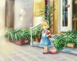 Rule 34 | 1girl, alice margatroid, alice margatroid (pc-98), bad id, bad pixiv id, blonde hair, blue eyes, blue skirt, bow, brown footwear, commentary request, english text, expressionless, flower basket, hairband, holding, holding stuffed toy, light, outdoors, pavement, plant, potted plant, shirt, shoes, shop, short hair, short sleeves, skirt, slms, socks, solo, stairs, standing, stuffed animal, stuffed toy, suspenders, teddy bear, touhou, touhou (pc-98), white shirt, white socks, window