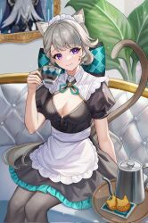 Rule 34 | 1girl, alternate costume, animal ear fluff, animal ears, apron, black dress, black pantyhose, breasts, cat ears, cleavage, commentary request, cup, dress, enmaided, facial mark, feet out of frame, genshin impact, grey hair, hand up, head tilt, highres, holding, holding cup, indoors, kama (kama ovo), kettle, long hair, looking at viewer, lynette (genshin impact), maid, medium breasts, neuvillette (genshin impact), painting (object), pantyhose, plant, puffy short sleeves, puffy sleeves, purple eyes, short dress, short sleeves, sitting, smile, solo, star (symbol), very long hair, waist apron, white apron