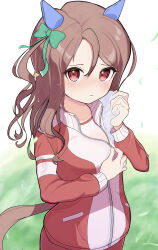 Rule 34 | 1girl, absurdres, animal ears, blush, bow, brown hair, closed mouth, commentary request, ear bow, ear covers, grass, hair between eyes, highres, holding, holding towel, horse ears, horse girl, horse tail, jacket, king halo (umamusume), long sleeves, looking at viewer, outdoors, pants, partially unzipped, red eyes, school uniform, sevlhd hero, solo, tail, towel, tracen school uniform, track jacket, track pants, umamusume, upper body