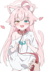 Rule 34 | 1boy, 1girl, absurdres, ahoge, animal collar, animal ear fluff, animal ears, animal print, blue archive, blue eyes, blush, cat ears, cat girl, cat tail, collar, commentary request, fang, fish print, halo, heart, heterochromia, highres, holding, holding leash, hoshino (blue archive), leash, long hair, looking at viewer, natsukari na, off shoulder, open mouth, pink hair, pink halo, pov, pov hands, red collar, sensei (blue archive), shirt, short sleeves, simple background, single bare shoulder, skin fang, solo focus, tail, viewer holding leash, whale print, white background, white shirt, yellow eyes