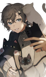 Rule 34 | 1boy, brown hair, cat, cellphone, grey eyes, hair ornament, hairclip, highres, holding, holding phone, holding stuffed toy, jewelry, kanae (nijisanji), kiragera, long sleeves, looking at viewer, male focus, mole, mole under eye, necklace, nijisanji, phone, ring, short hair, simple background, smartphone, smile, stuffed animal, stuffed cat, stuffed toy, virtual youtuber, white background