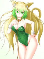 Rule 34 | 1girl, alternate costume, animal ears, atalanta (fate), bad id, bad pixiv id, bare legs, blonde hair, breasts, cat ears, cat girl, cat tail, cleavage, collar, covered erect nipples, fate/grand order, fate (series), green eyes, green hair, green leotard, groin, hand on own chest, kittysuit, leaning forward, leash, leotard, long hair, looking at viewer, medium breasts, multicolored hair, nijimofu, nontraditional playboy bunny, solo, tail, viewer holding leash, white background, wrist cuffs
