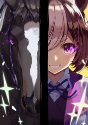 Rule 34 | 1girl, animal, animal ears, brown hair, commentary request, creature and personification, glowing, glowing eye, grin, highres, horse, horse ears, horse girl, multicolored hair, nino (shira), purple eyes, reins, smile, sparkle, special week (racehorse), special week (umamusume), streaked hair, umamusume