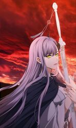 Rule 34 | 1girl, black cape, cape, closed mouth, coat, edora (second life ranker), highres, horns, hug, long hair, looking at viewer, purple hair, red sky, second life ranker, serious, sky, sword, very long hair, weapon, white coat, yellow eyes
