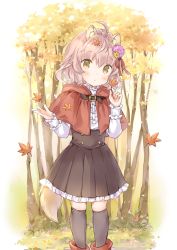 Rule 34 | 1girl, aged down, ahoge, animal ear fluff, animal ears, autumn, autumn leaves, black socks, blouse, boots, capelet, center frills, day, flower, forest, frills, hair flower, hair ornament, kneehighs, nature, original, outdoors, parted lips, pleated skirt, red footwear, shirt, short hair, skirt, socks, solo, tail, thigh strap, tree, wataame27, white shirt, wolf ears, wolf tail, yellow eyes