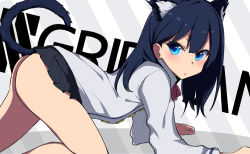 Rule 34 | 10s, 1girl, all fours, animal ear fluff, animal ears, black hair, black skirt, blue eyes, blush, cardigan, cat ears, cat girl, cat tail, closed mouth, commentary request, copyright name, eyebrows hidden by hair, grey cardigan, gridman universe, hair between eyes, kemonomimi mode, long hair, long sleeves, looking at viewer, looking to the side, microskirt, miniskirt, pleated skirt, ratsuku kinoko, skirt, solo, ssss.gridman, tail, tail raised, takarada rikka, v-shaped eyebrows