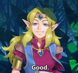 Rule 34 | 1girl, alternate costume, armor, blonde hair, blue eyes, blue vest, breasts, chest jewel, collared shirt, dappled sunlight, english text, forehead jewel, forest, jewelry, leaf, long hair, looking to the side, medium breasts, meme, nature, necklace, nintendo, open mouth, outdoors, parted bangs, plant, pointy ears, princess zelda, purple shirt, shadow, shirt, shirt tucked in, shoulder armor, sidelocks, simon stafsnes andersen, smirk, smug, solo, source quote, standing, sunlight, teeth, the legend of zelda, the legend of zelda (cd-i), tiara, tree, tree shade, upper body, vest, zelda: the wand of gamelon