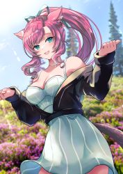 Rule 34 | 1girl, animal ears, black jacket, cat ears, cat tail, choker, cowboy shot, dress, dutch angle, field, final fantasy, final fantasy xiv, flower, flower field, green eyes, hair ribbon, highres, jacket, kudoukudokudo, light rays, long sleeves, looking at viewer, miqo&#039;te, open clothes, open jacket, open mouth, outdoors, parted bangs, pink hair, ponytail, ribbon, sidelocks, solo, tail, tree, warrior of light (ff14), white dress