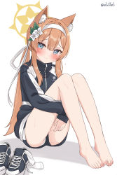 Rule 34 | 1girl, animal ear fluff, animal ears, bare legs, barefoot, black jacket, blue archive, blue eyes, blush, brown hair, closed mouth, eluthel, feet, flower, full body, gym uniform, hair between eyes, hair flower, hair ornament, hairband, halo, highres, hugging own legs, jacket, knees up, legs together, long hair, long sleeves, looking at viewer, mari (blue archive), mari (track) (blue archive), official alternate costume, shoes, unworn shoes, simple background, sitting, smile, solo, toes, turtleneck, turtleneck jacket, twintails, very long hair, white background, white flower, white hairband