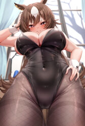 Rule 34 | 1girl, animal ears, arm up, bare arms, black leotard, blurry, blurry background, blush, breasts, brown hair, brown pantyhose, covered navel, cowboy shot, day, fisheye, fishnet pantyhose, fishnets, from below, gluteal fold, hair between eyes, hand on own head, hand on own hip, highleg, highleg leotard, highres, horse ears, indoors, large breasts, leotard, long hair, looking at viewer, multicolored hair, pantyhose, parted lips, pink eyes, sirius symboli (umamusume), skindentation, smile, solo, strapless, strapless leotard, tabunshake, thigh gap, two-tone hair, umamusume, v-shaped eyebrows, very long hair, white hair, window, wrist cuffs