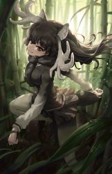 Rule 34 | 1girl, animal ears, antlers, backlighting, bamboo, bamboo forest, brown eyes, brown hair, closed mouth, day, floating hair, forest, fur scarf, grass, highres, horns, kemono friends, long hair, long sleeves, melaton, miniskirt, moose ears, moose girl, moose tail, nature, outdoors, pantyhose, running, scarf, skirt, smile, solo, sweater, tail, water, water drop