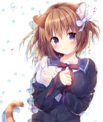 Rule 34 | 1girl, animal ears, blue eyes, breasts, brown hair, cat tail, female focus, konomi (kino konomi), large breasts, original, paw print, ribbon, solo, tail, wet, wet clothes