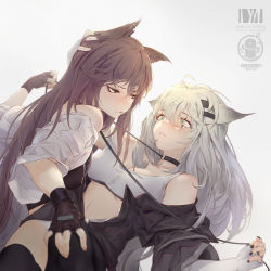 Rule 34 | 2girls, absurdres, animal ears, arknights, bare shoulders, black choker, black gloves, black hair, black jacket, black nails, breasts, brown eyes, chinese commentary, choker, cleavage, commentary request, crop top, dm (dai miao), eye contact, fingerless gloves, gloves, grey background, grey eyes, hair between eyes, hair ornament, hairclip, highres, holding, jacket, lappland (arknights), leash, long hair, looking at another, medium breasts, midriff, multiple girls, nail polish, navel, off shoulder, scar, scar across eye, scar on face, shirt, silver hair, simple background, strap slip, texas (arknights), white gloves, white shirt, wolf ears, yuri