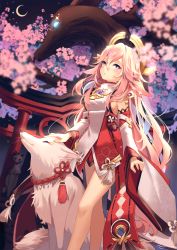 Rule 34 | 1girl, animal ears, bare legs, blush, cherry blossoms, crescent moon, detached sleeves, dress, feet out of frame, flower, fox, genshin impact, hair between eyes, hair ornament, highres, kuri (animejpholic), long hair, long sleeves, moon, nail polish, outdoors, parted lips, petting, pink flower, pink hair, pink nails, purple eyes, sleeveless, sleeveless dress, solo, standing, torii, very long hair, white dress, yae miko