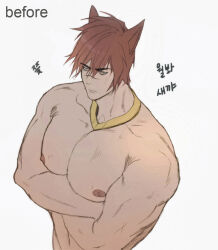 Rule 34 | 1boy, animal ears, bara, before and after, crossed arms, large pectorals, league of legends, male focus, muscular, muscular male, nipples, pectorals, red hair, ryub, scar, scar on face, scar on nose, sett (league of legends), short hair, simple background, solo, topless male, upper body, white background