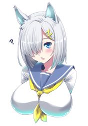 Rule 34 | 10s, 1girl, ?, animal ears, blue eyes, blush, breasts, cat ears, cat girl, fang, female focus, hair ornament, hair over one eye, hairclip, hamakaze (kancolle), kantai collection, kemonomimi mode, large breasts, looking at viewer, open mouth, perepere-kun, school uniform, serafuku, short hair, silver hair, simple background, solo, upper body, white background