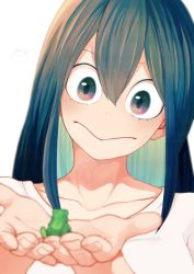 Rule 34 | 1girl, :&gt;, absurdres, animal, asui tsuyu, black eyes, blurry, blurry foreground, boku no hero academia, collarbone, face, frog, green hair, hair between eyes, has bad revision, has downscaled revision, highres, holding, holding animal, huge filesize, md5 mismatch, no nose, resolution mismatch, shirt, simple background, solo, souka0428, source smaller, white background, white shirt
