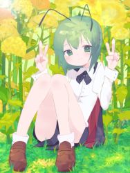 Rule 34 | 1girl, androgynous, antennae, black cape, black shorts, blouse, blush, brown footwear, cape, closed mouth, collared shirt, commentary request, double v, flower, full body, green eyes, green hair, kari (atsuki 565), long sleeves, looking at viewer, red cape, shirt, shoes, short hair, shorts, sitting, smile, socks, solo, touhou, two-sided cape, two-sided fabric, v, white shirt, white socks, wriggle nightbug, yellow flower