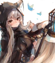 Rule 34 | 2girls, arknights, birdcage, blue eyes, breasts, bug, butterfly, cage, cloak, closed mouth, highres, holding, holding own hair, hood, horns, horns through headwear, insect, large breasts, long hair, long sleeves, looking at viewer, looking back, multiple girls, nightingale (arknights), profile, ryuuji teitoku, shining (arknights), staff, white background, white hair, white headwear