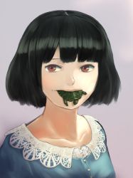 Rule 34 | 1girl, black hair, bob cut, brown eyes, honjojnoh, looking at viewer, mouth hold, original, short hair, simple background, solo, turtle, upper body