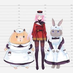 Rule 34 | 3girls, arms at sides, black dress, black footwear, black gloves, blue eyes, boots, brown pantyhose, closed eyes, dress, facing viewer, furry, gloves, hat, height chart, long hair, long sleeves, maid, mob cap, multiple girls, nisei (tanny), pantyhose, pink hair, pixiv fantasia, pixiv fantasia scepter of zeraldia, rabbit, red headwear, simple background, standing, swylveine klark, thigh boots, thigh strap, white headwear