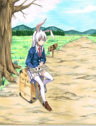 Rule 34 | 1girl, animal ears, blazer, breasts, brown footwear, cherry blossoms, cloud, collared shirt, day, dirt road, eating, extra ears, flower, grass, highres, jacket, koji (koji-a), long hair, long sleeves, looking at viewer, mountain, necktie, pleated skirt, purple hair, rabbit ears, red eyes, red necktie, reisen udongein inaba, road, shirt, shoes, sidelocks, sign, sitting, skirt, smile, solo, thighhighs, touhou, tree, white thighhighs, zettai ryouiki