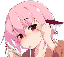 Rule 34 | 1girl, animal ears, blush, chopsticks, collarbone, eating, food, tucking hair, holding, japanese clothes, long sleeves, looking at viewer, mystia lorelei, no headwear, noodles, okamisty, pink hair, portrait, red eyes, short hair, simple background, solo, sweat, terazip, touhou, udon, white background