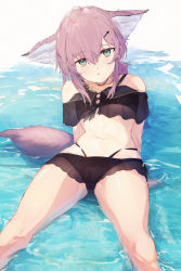 Rule 34 | 1girl, :o, absurdres, ahoge, animal ears, arknights, bikini, black bikini, blue eyes, brown hair, commentary request, fox ears, fox girl, fox tail, hair ornament, hairclip, highres, in water, looking at viewer, lying, material growth, midu5, navel, official alternate costume, oripathy lesion (arknights), parted lips, reclining, short hair, solo, stomach, sussurro (arknights), sussurro (summer flower) (arknights), swimsuit, tail