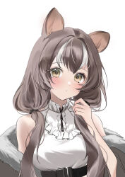 Rule 34 | 1girl, animal ears, arknights, bare shoulders, blush, breasts, brown eyes, brown hair, cat ears, cat girl, closed mouth, collared shirt, dot nose, fur-trimmed jacket, fur trim, grey jacket, hair intakes, hand up, highres, holding, holding own hair, honeyberry (arknights), jacket, large breasts, looking at viewer, low twintails, multicolored hair, off shoulder, portrait, raramente, shirt, sidelocks, simple background, sleeveless, sleeveless shirt, solo, streaked hair, twintails, white background, white hair, white shirt
