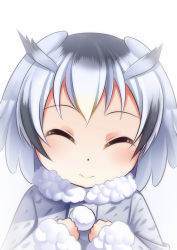 Rule 34 | 10s, 1girl, ^ ^, closed eyes, commentary, dot nose, facing viewer, fur-trimmed sleeves, fur collar, fur trim, grey hair, hands on own chest, highres, kemono friends, long sleeves, multicolored hair, northern white-faced owl (kemono friends), pom pom (clothes), portrait, short hair, smile, solo, white hair, yasume yukito