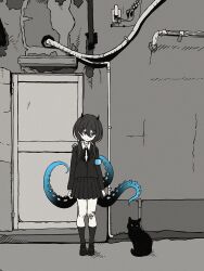 Rule 34 | 1girl, armband, arms at sides, bandage on knee, bandaid, bandaid on leg, black cat, blue armband, cat, commentary, door, expressionless, gauze, greyscale, hair between eyes, hair over shoulder, half-closed eyes, highres, horns, indie virtual youtuber, industrial pipe, kneehighs, loafers, long hair, long sleeves, looking at animal, looking down, looking to the side, low twintails, monochrome, neck ribbon, nkymyura, outdoors, pleated skirt, ribbon, ringed eyes, school uniform, shoes, skirt, socks, solo, spot color, standing, stitched neck, stitches, straight-on, tentacles, twintails, virtual youtuber, wide shot, yamata ia