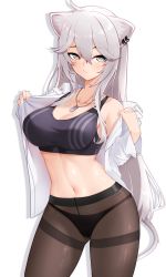 Rule 34 | 1girl, absurdres, ahoge, animal ears, black panties, black pantyhose, black sports bra, breasts, cat ears, cat tail, cleavage, collarbone, cowboy shot, dog tags, grey hair, hair between eyes, highres, hololive, large breasts, long hair, looking at viewer, midriff, navel, panties, panties under pantyhose, pantyhose, shirt, shishiro botan, shishiro botan (button-down), simple background, solo, sports bra, tail, thighs, underwear, undressing, virtual youtuber, white background, white shirt, z.taiga
