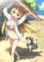 Rule 34 | 1girl, :d, absurdres, alice third macy, arms up, bare legs, beach, bikini, blue eyes, breasts, cleavage, day, dog, fang, flip-flops, front-tie bikini top, front-tie top, halterneck, highres, innertube, jacket, kantoku, koi suru kanojo no bukiyou na butai, long sleeves, medium breasts, navel, open clothes, open jacket, open mouth, outdoors, sandals, side-tie bikini bottom, sleeves past wrists, smile, solo, string bikini, striped bikini, striped clothes, surfboard, swim ring, swimsuit, two side up