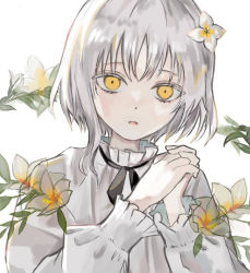 Rule 34 | flower, looking at viewer, medium hair, original, own hands together, plumeria, shirt, simple background, tanu kitu, upper body, white background, white hair, yellow eyes