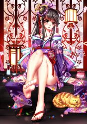 Rule 34 | 1girl, bare shoulders, barefoot, black hair, brown eyes, cat, feet, firebate, japanese clothes, kimono, legs, long hair, ponytail, sandals, single shoe, sitting, smile, solo, toes