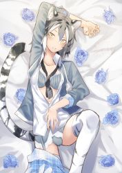 Rule 34 | 1girl, ahoge, animal ears, animal print, aranagi (arng 4401), arm behind head, arm rest, arm up, black hair, blue flower, blue rose, bra, cameltoe, cat girl, clothes pull, collared shirt, colored inner hair, dated, fingernails, flower, from above, garter belt, garter straps, grey hair, hair between eyes, highres, jacket, kemono friends, knee up, looking at viewer, lying, maltese tiger (kemono friends), medium hair, multicolored hair, necktie, on back, open clothes, open jacket, panties, parted lips, plaid, plaid skirt, plaid sleeves, print thighhighs, rose, shirt, signature, skirt, skirt pull, solo, spread legs, tail, thighhighs, tiger ears, tiger girl, tiger print, tiger tail, underwear, undone necktie, watermark, white hair, white shirt, wing collar, yellow eyes