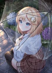 Rule 34 | 1girl, ardenlolo, artist name, black thighhighs, blonde hair, blue eyes, blush, brown skirt, closed mouth, flower, from side, hair ornament, holding, holding umbrella, hololive, hololive english, hydrangea, long sleeves, looking at viewer, looking to the side, outdoors, path, plaid, plaid skirt, rain, road, shirt, short hair, skirt, solo, squatting, thighhighs, transparent, transparent umbrella, umbrella, virtual youtuber, watson amelia, white shirt, zettai ryouiki