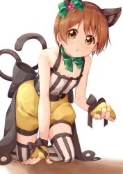 Rule 34 | 1girl, alternate costume, animal ears, bare shoulders, breasts, brown hair, cat ears, commentary request, fake animal ears, fake tail, fingerless gloves, gloves, highres, hoshizora rin, ksk (semicha keisuke), looking at viewer, love live!, love live! school idol festival, love live! school idol project, short hair, small breasts, solo, striped clothes, striped thighhighs, tail, thighhighs, yellow eyes