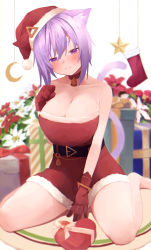 Rule 34 | 1girl, absurdres, animal ear fluff, animal ears, bell, belt, between legs, black belt, box, breasts, cat ears, cat girl, cat tail, choker, christmas, christmas stocking, cleavage, dress, flower, gift, gift box, gloves, hair between eyes, hand between legs, hat, head tilt, heart-shaped box, highres, hololive, large breasts, looking at viewer, nanome to, neck bell, nekomata okayu, purple eyes, purple hair, red choker, red dress, red flower, red gloves, santa costume, santa hat, short hair, sitting, solo, strapless, strapless dress, tail, tail raised, virtual youtuber, wariza, white flower