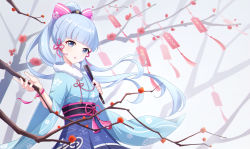 Rule 34 | 1girl, :o, ayaka (genshin impact), biubiubiu, blue eyes, blue hair, blue kimono, blunt bangs, blush, bow, branch, charm (object), commentary request, fur trim, genshin impact, hair bow, hand fan, highres, japanese clothes, kimono, long hair, looking at viewer, mole, mole under eye, open mouth, parted lips, pink bow, ponytail, sidelocks, smile, solo, wide sleeves
