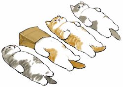 Rule 34 | :&lt;, animal, animal focus, animal hands, bag, bag on head, cat, cat paws, cat tail, closed eyes, highres, juno (mofu sand), kitten, lying, on back, original, sleeping, tail, white background