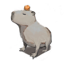 Rule 34 | animal focus, capybara, commentary, dated commentary, food, food on head, fruit, fruit on head, highres, mandarin orange, no humans, object on head, original, potatomochii, simple background, white background